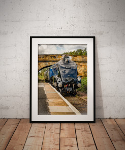 To buy a print or any of the below please click on the images